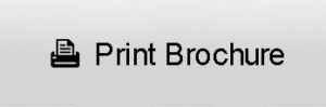 Print Brochure Button